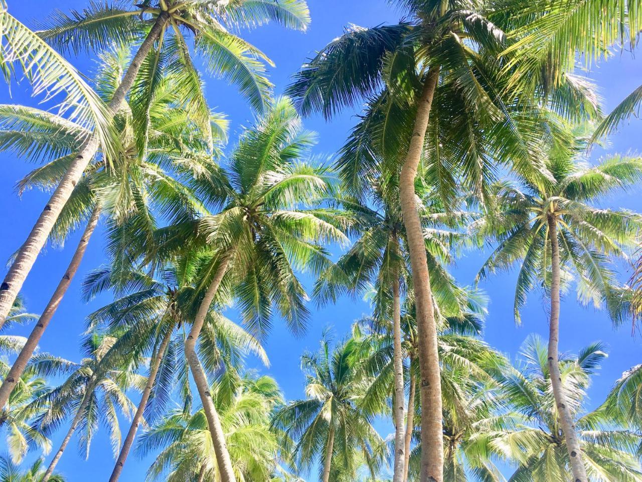 Anda White Beach Resort Bagian luar foto